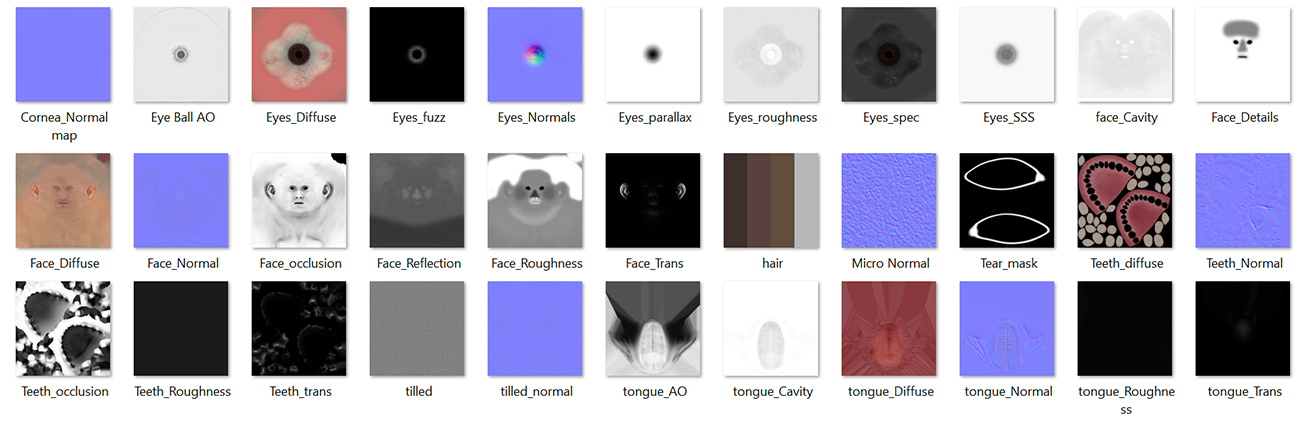 Texture maps to download for human skin